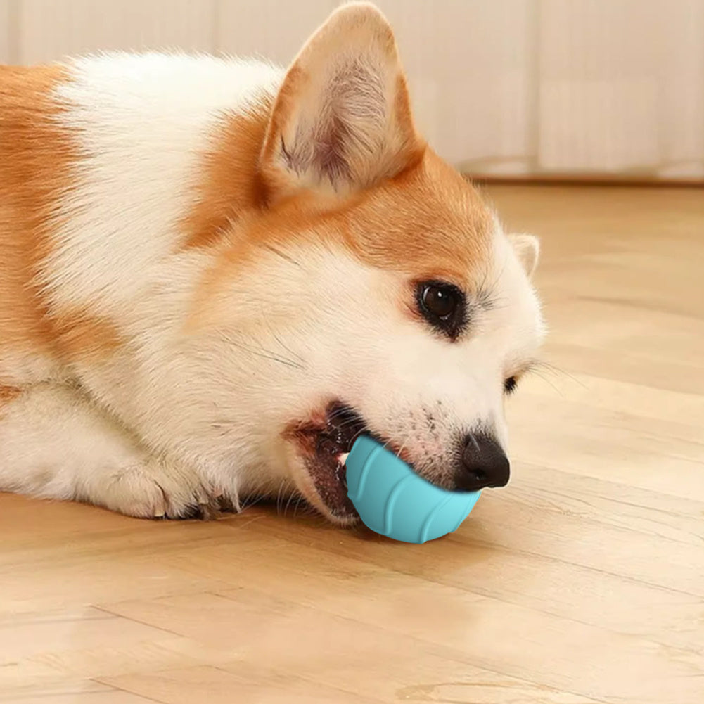 Automatic Bouncing Ball Electric Cat Ball Toys 2cm Funny Jumping Interactive For Cats Training Self-moving Kitten Toy Indoor (Copy)