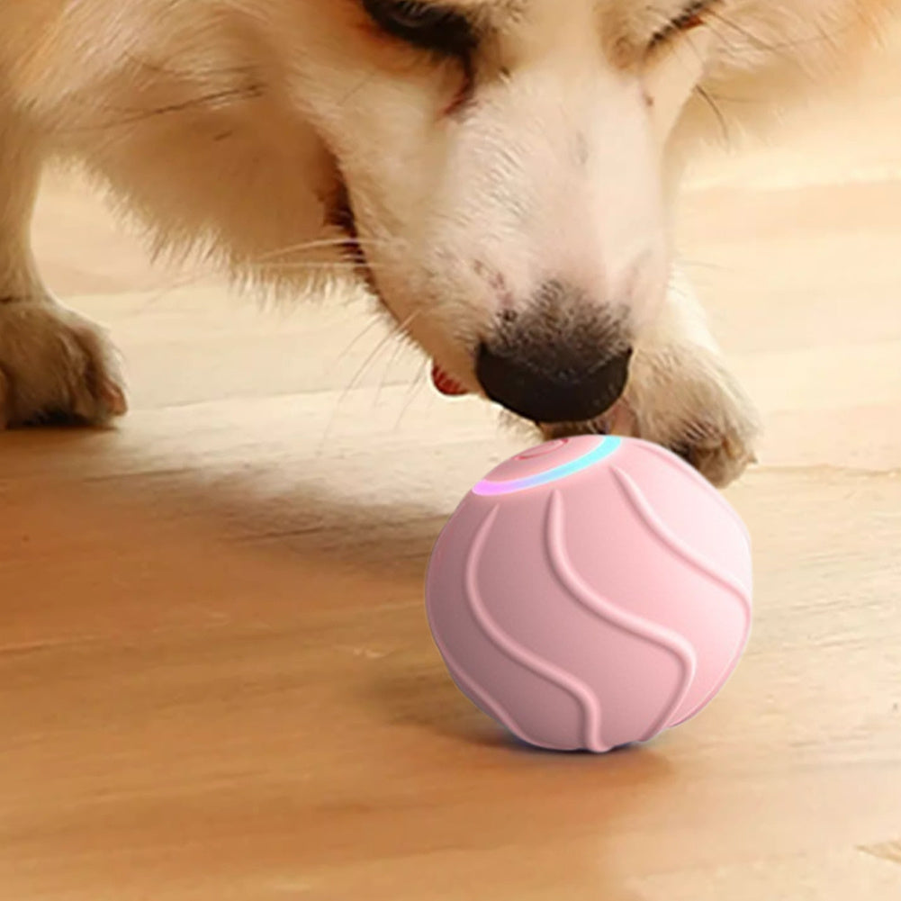 Automatic Bouncing Ball Electric Cat Ball Toys 2cm Funny Jumping Interactive For Cats Training Self-moving Kitten Toy Indoor (Copy)