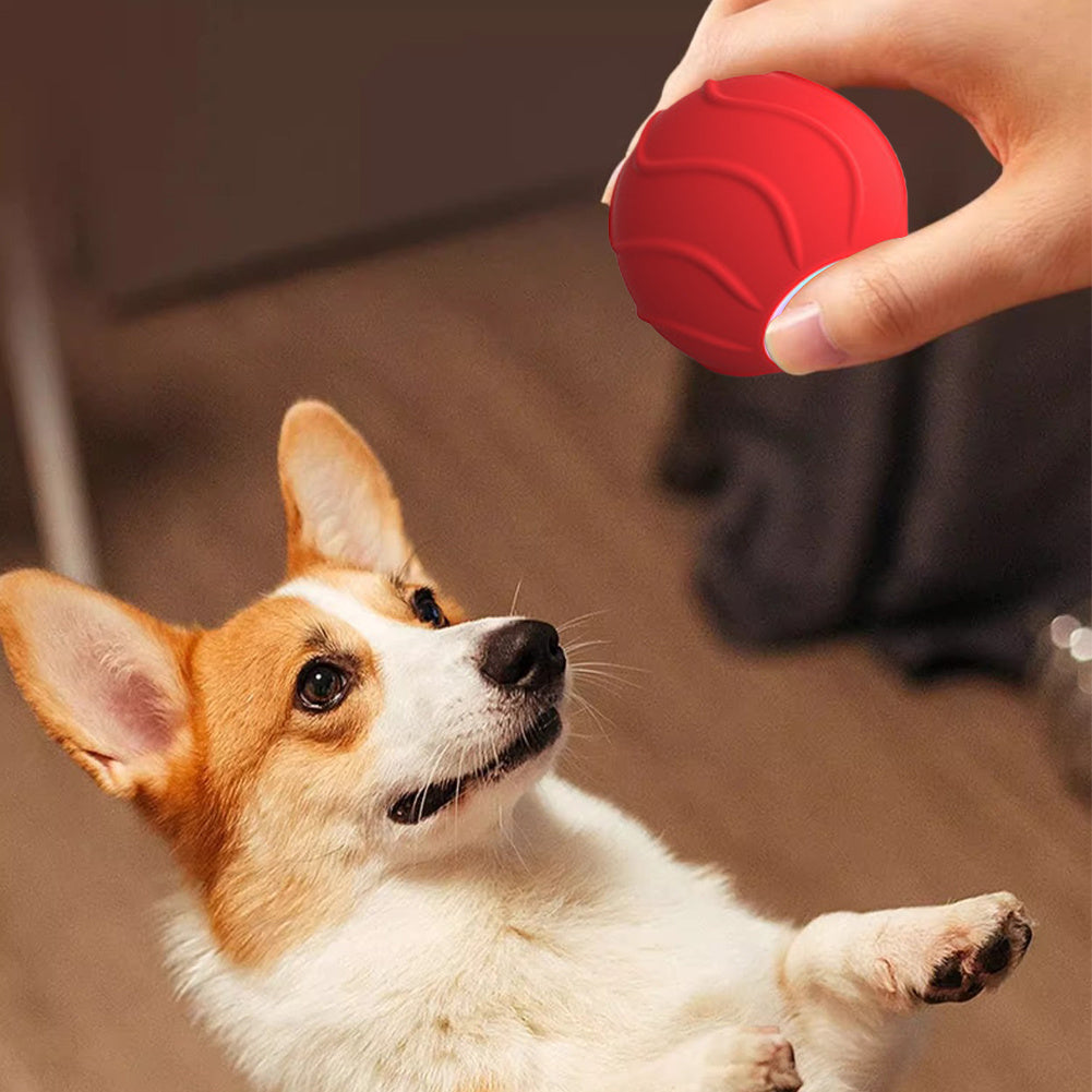 Automatic Bouncing Ball Electric Cat Ball Toys 2cm Funny Jumping Interactive For Cats Training Self-moving Kitten Toy Indoor (Copy)